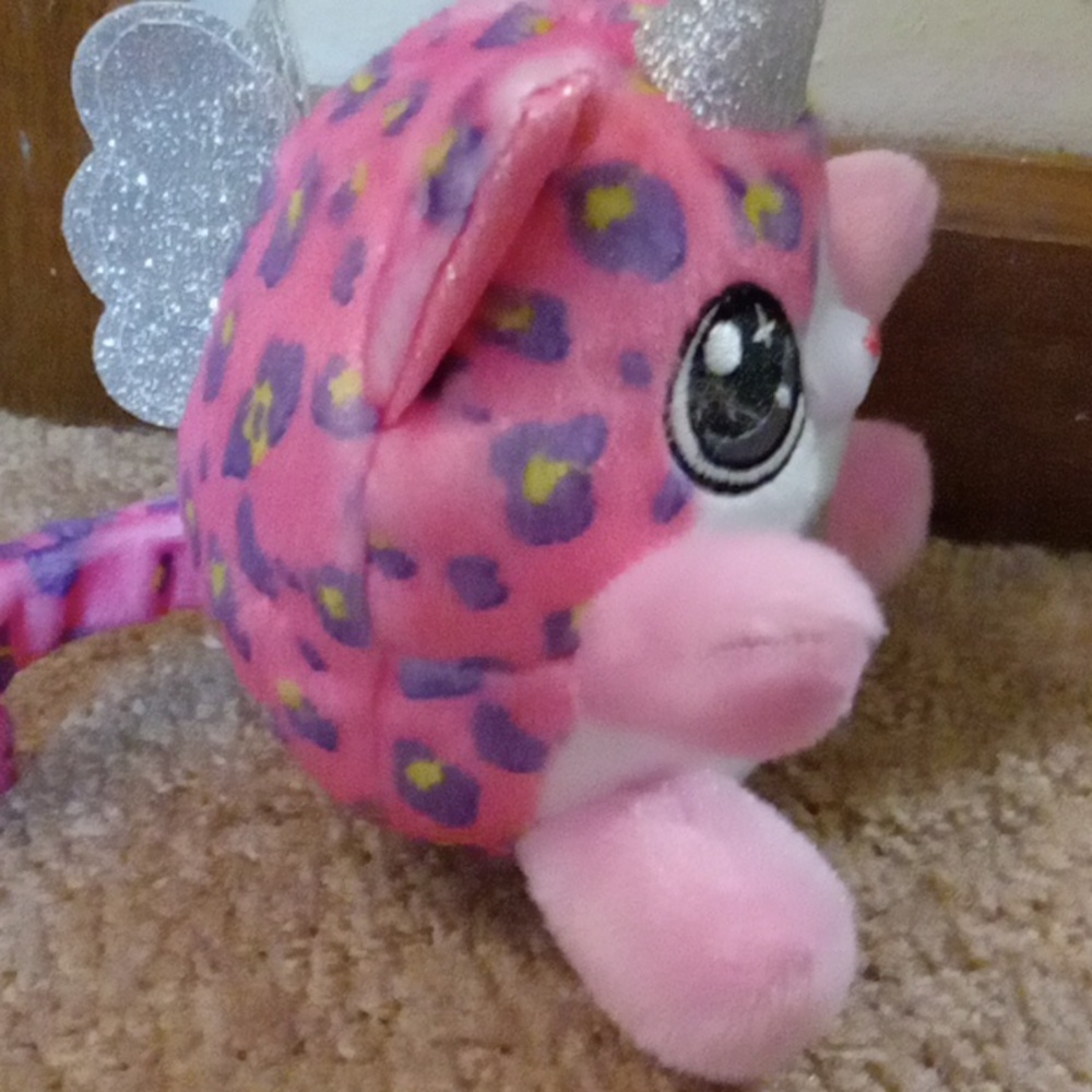 Unicorn cat - Picture 3 of 4
